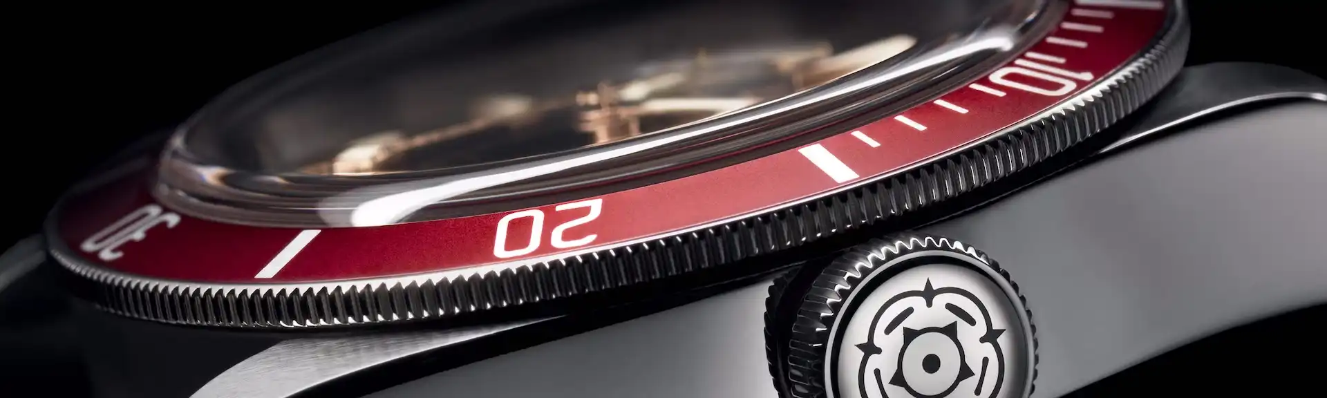 Tudor Watch Sideview
