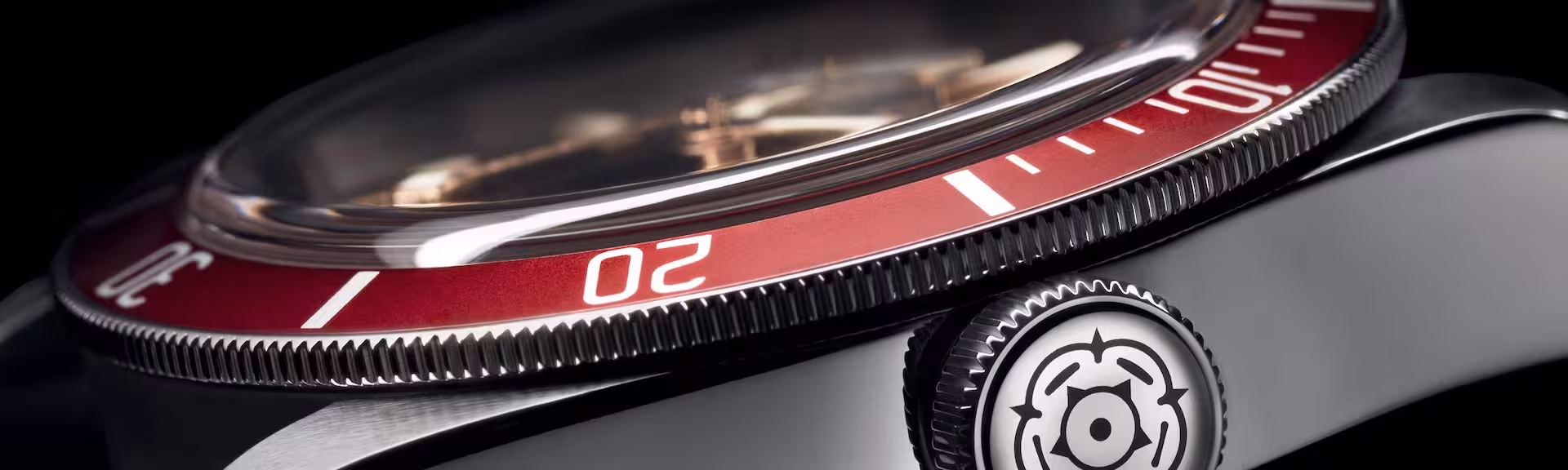 Tudor Watch Sideview